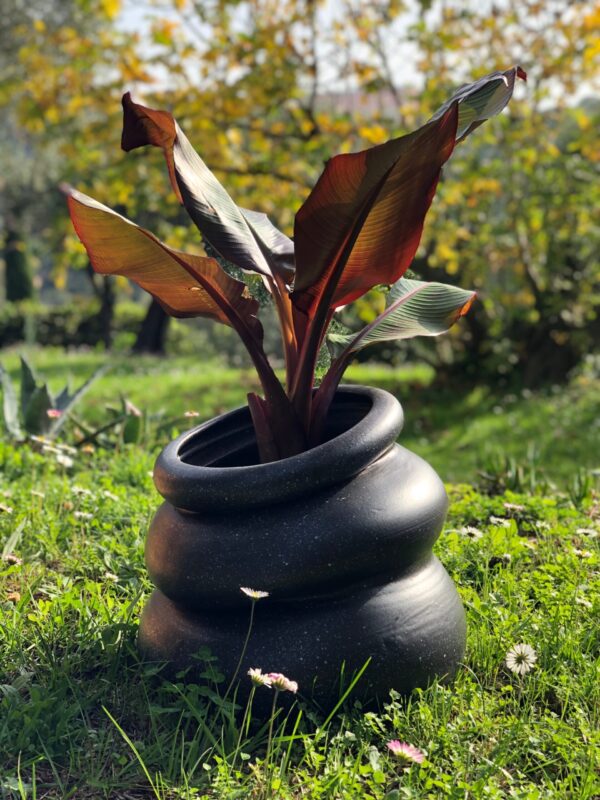 Vase in the garden